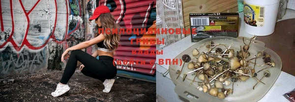 круглые Пересвет