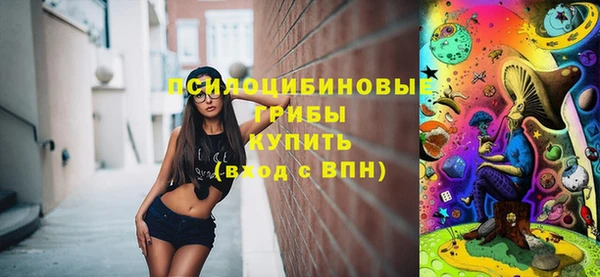 круглые Пересвет
