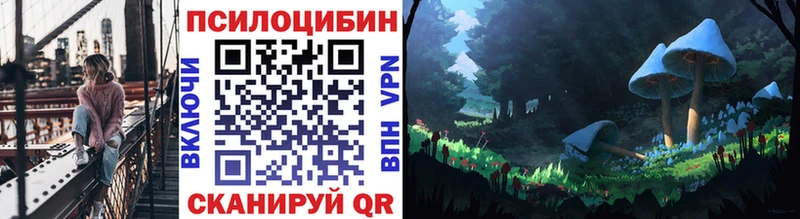 Псилоцибиновые грибы Cubensis Приозерск