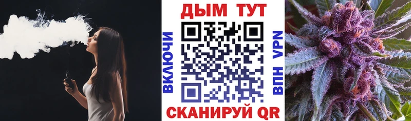 Бошки марихуана MAZAR  как найти закладки  Приозерск 